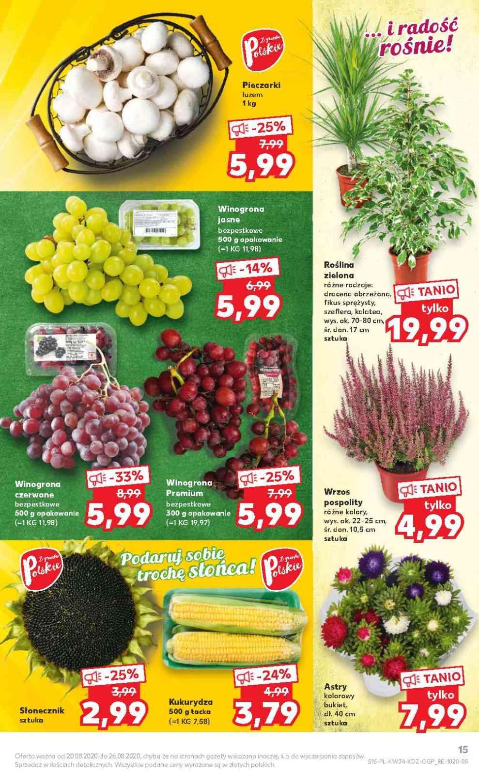 Gazetka promocyjna Kaufland str. 15