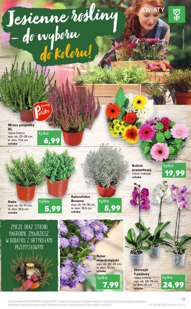 Gazetka promocyjna Kaufland str. 13