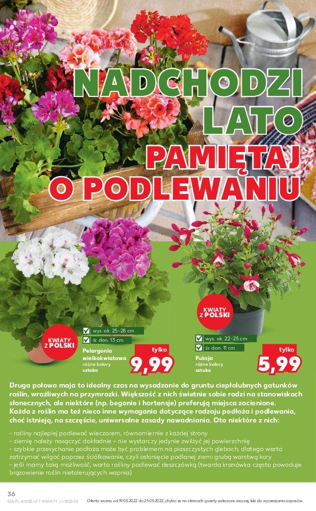 Gazetka promocyjna Kaufland str. 36