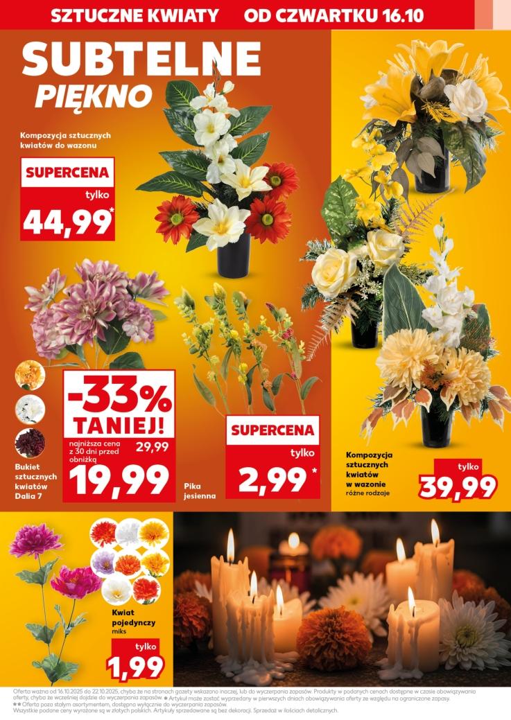Gazetka promocyjna Kaufland str. 15