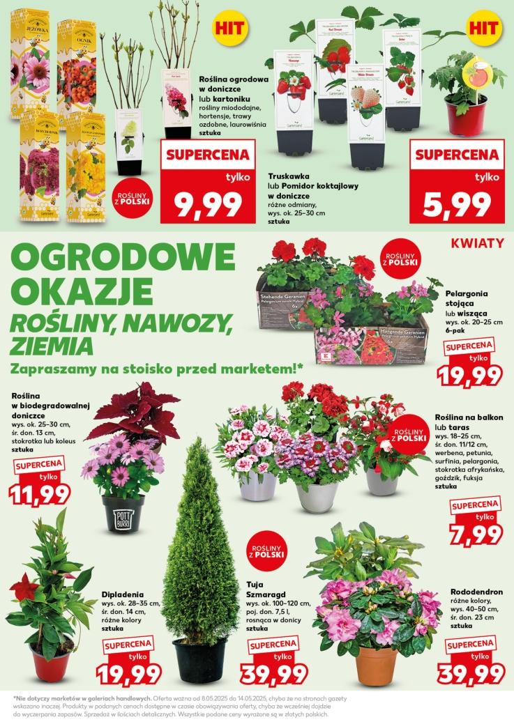 Gazetka promocyjna Kaufland str. 19