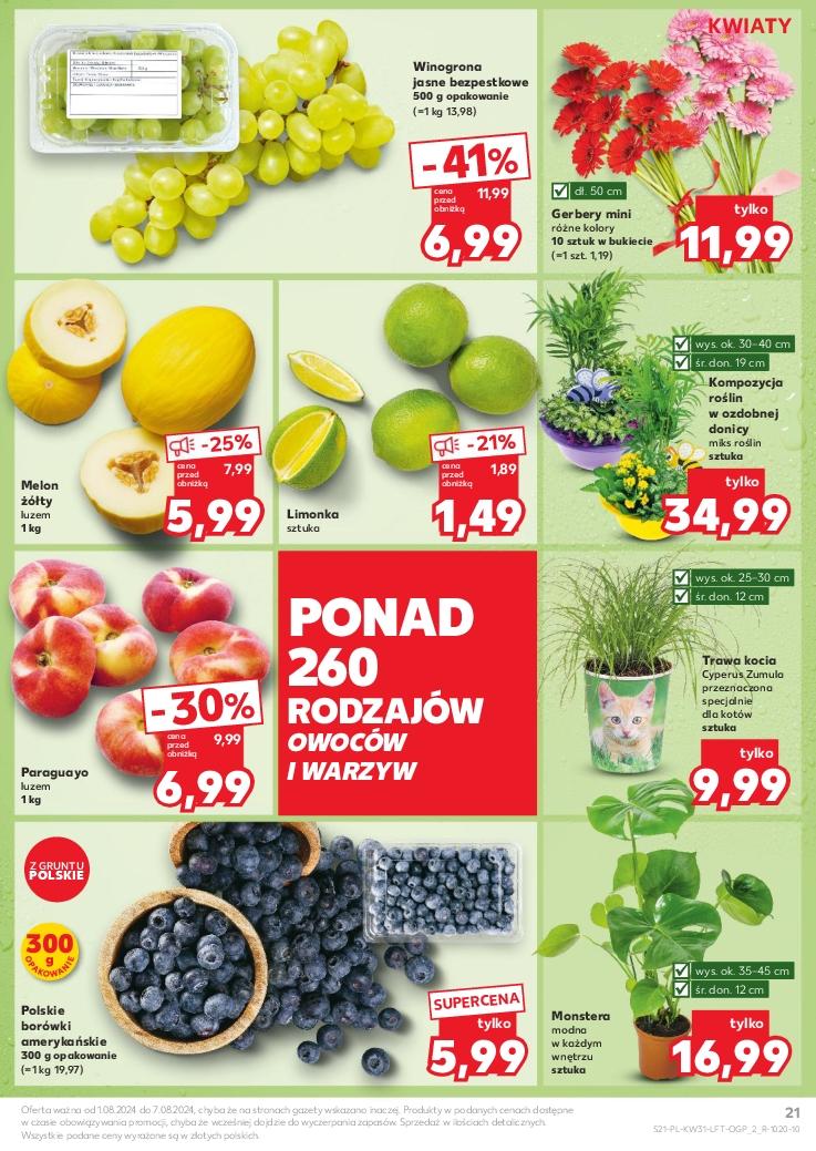 Gazetka promocyjna Kaufland str. 21