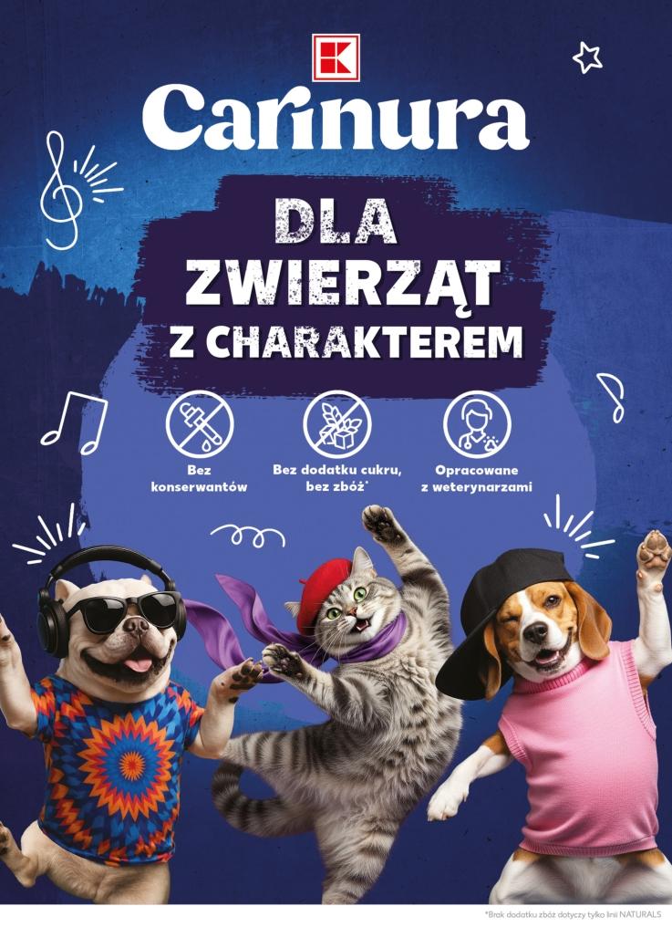 Gazetka promocyjna Kaufland str. 22