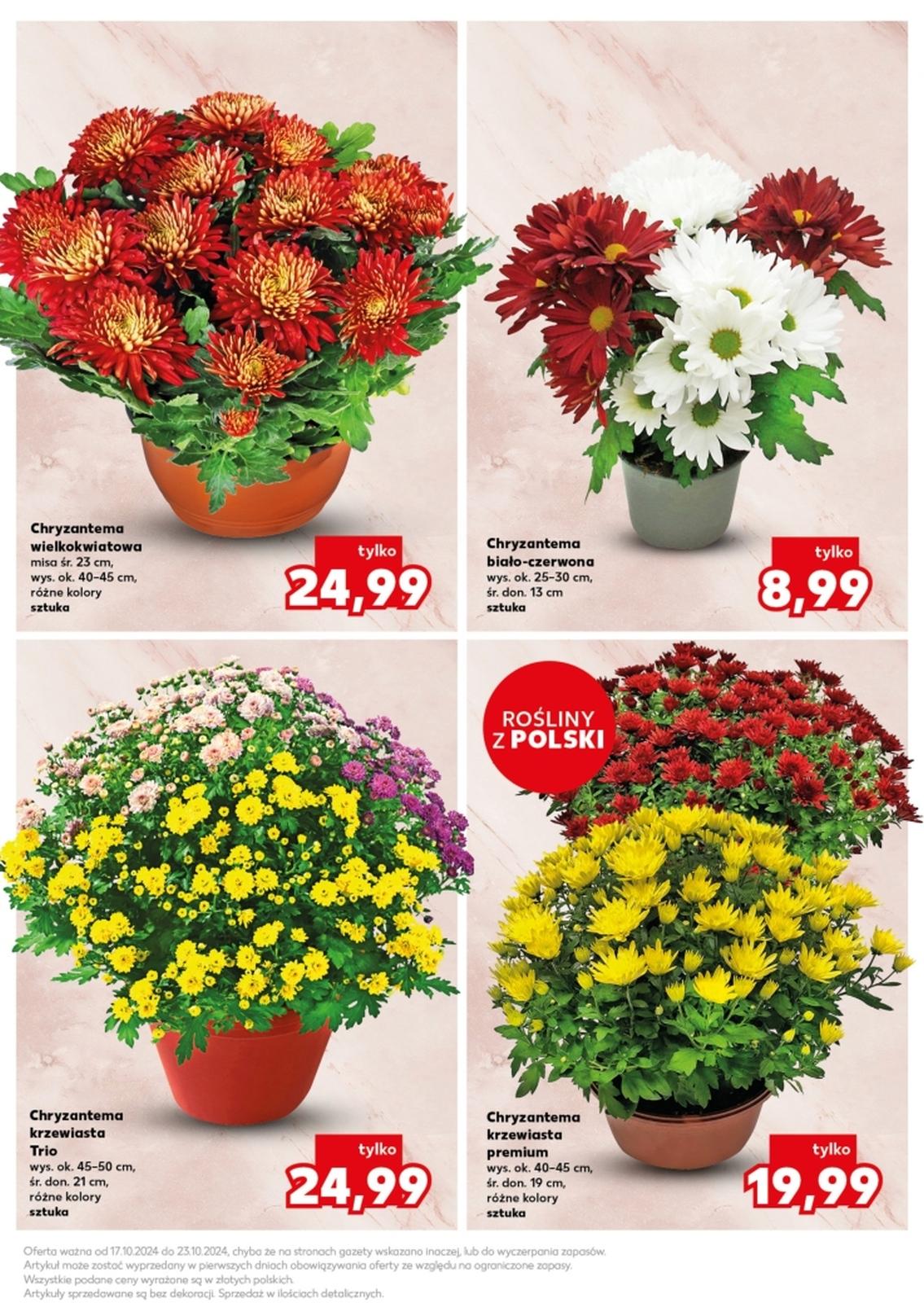 Gazetka promocyjna Kaufland str. 11