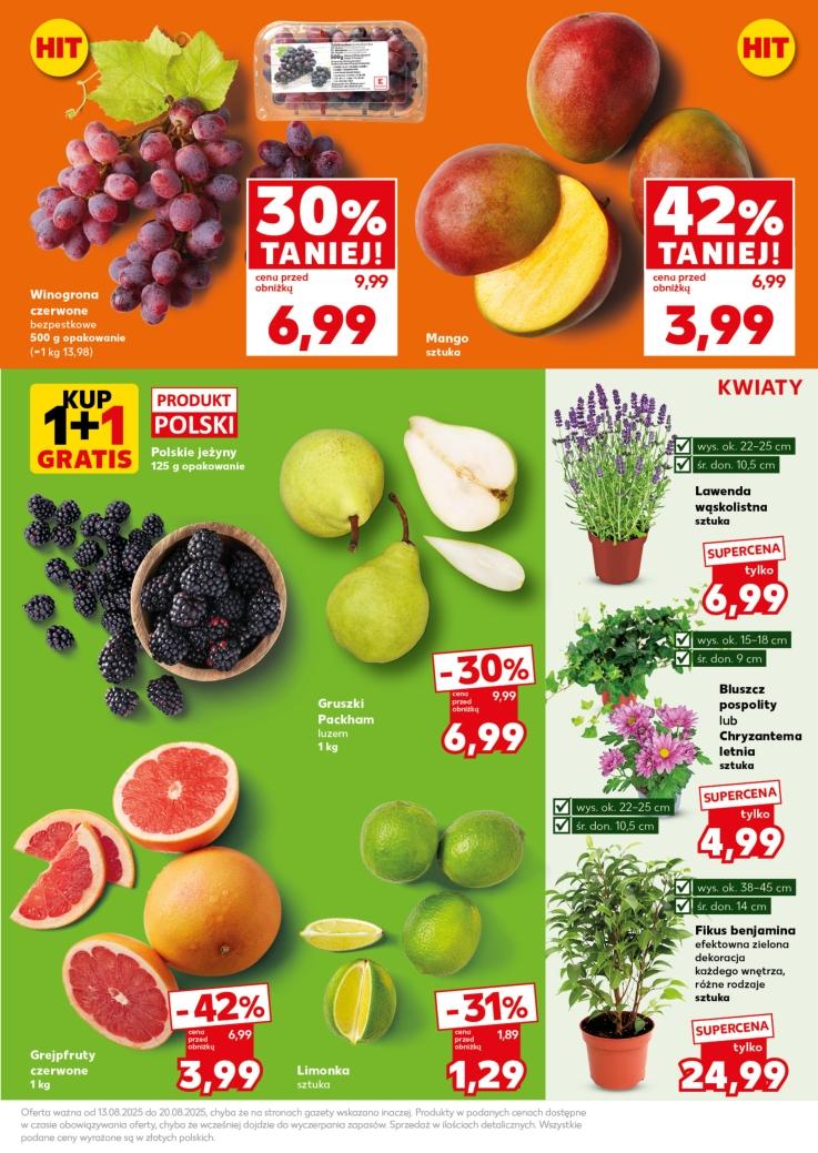 Gazetka promocyjna Kaufland str. 13