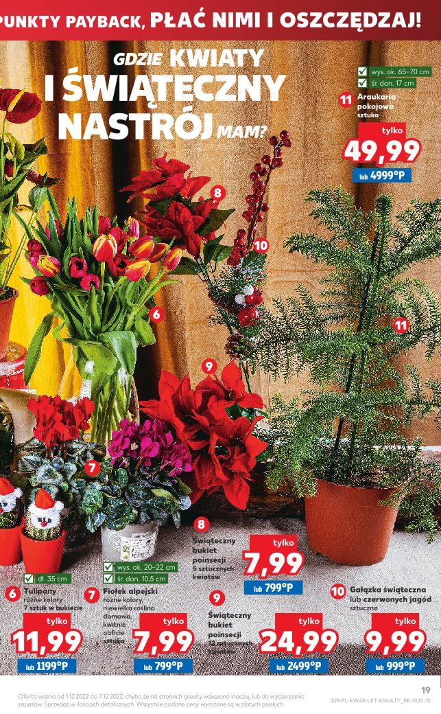 Gazetka promocyjna Kaufland str. 19