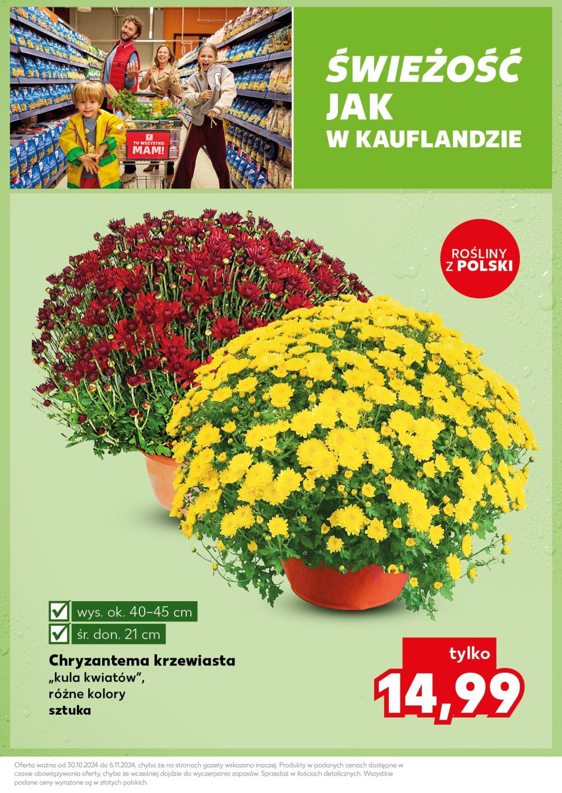 Gazetka promocyjna Kaufland str. 7