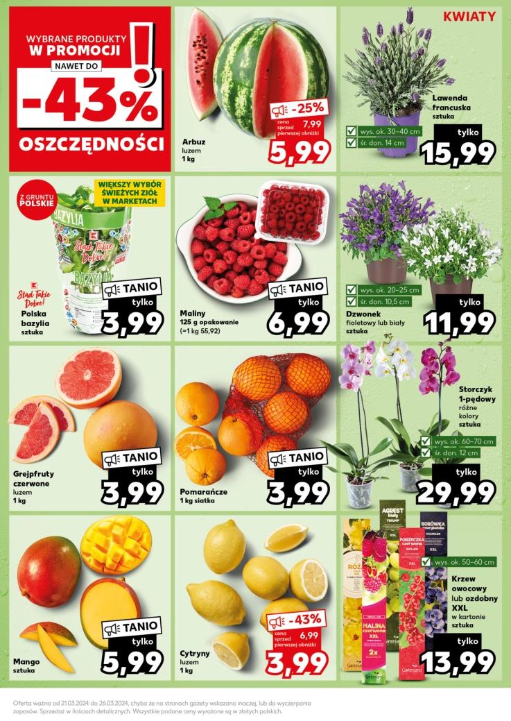 Gazetka promocyjna Kaufland str. 17