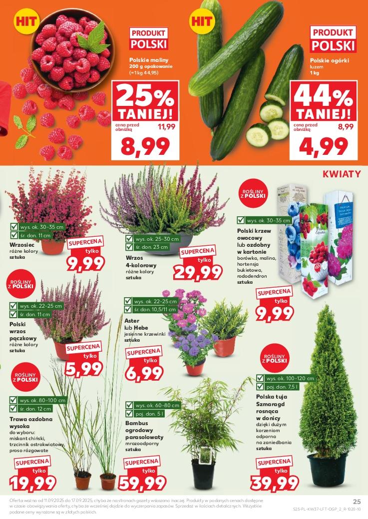 Gazetka promocyjna Kaufland str. 25