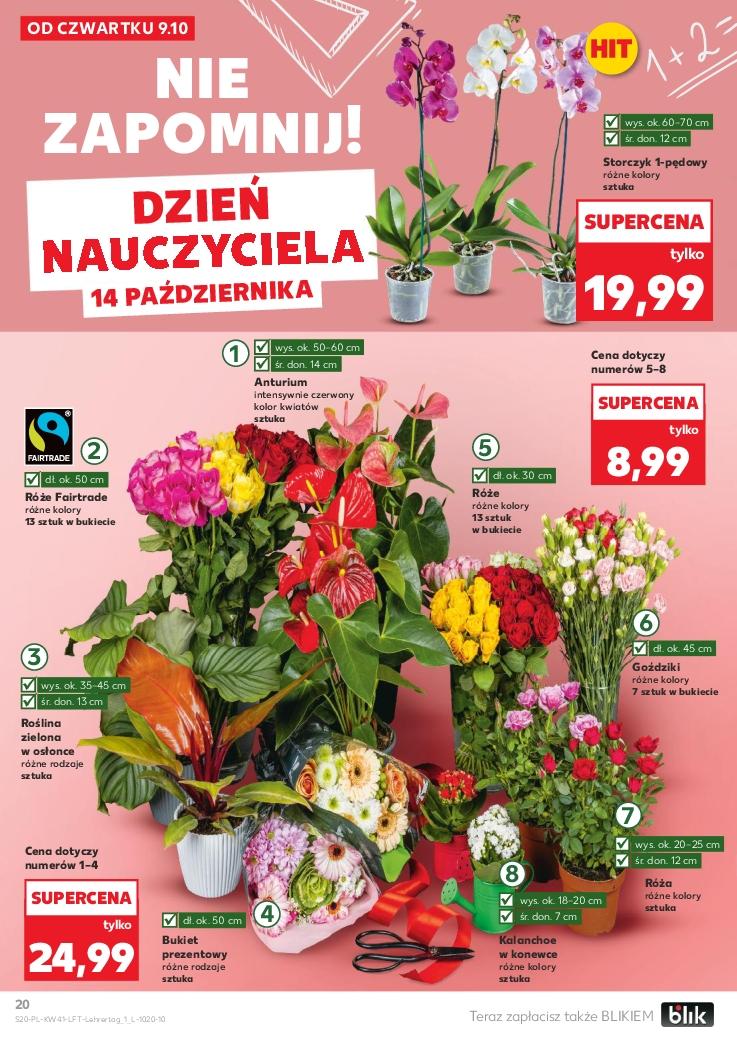 Gazetka promocyjna Kaufland str. 20