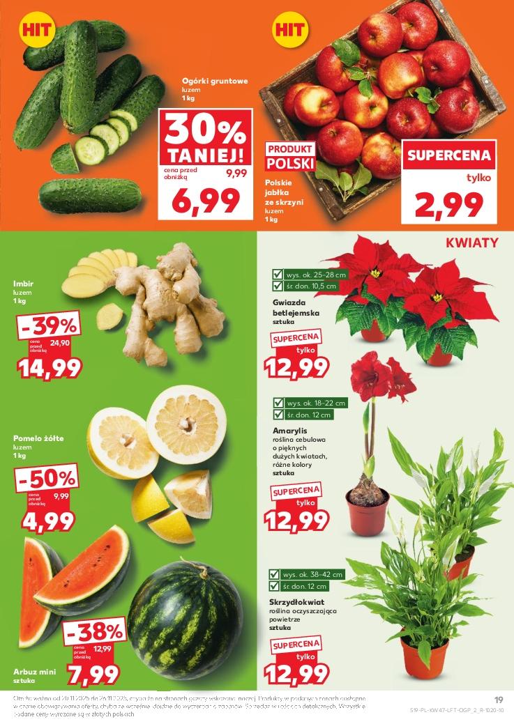 Gazetka promocyjna Kaufland str. 19