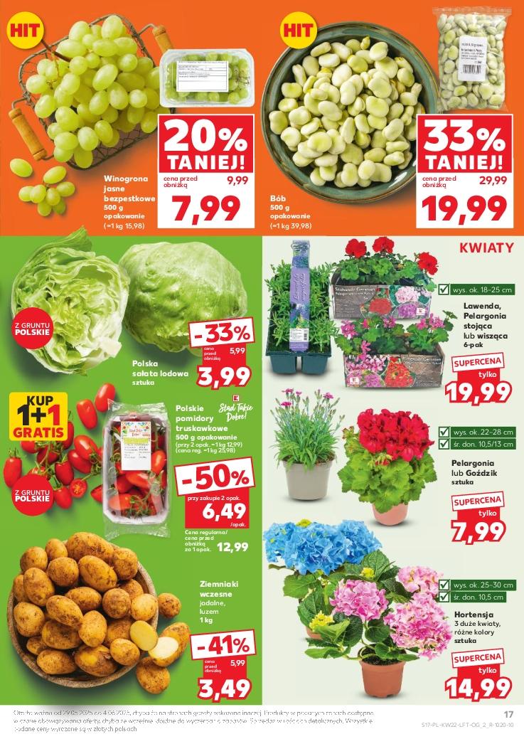 Gazetka promocyjna Kaufland str. 17