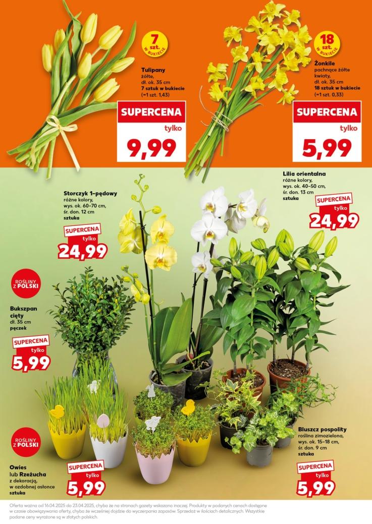 Gazetka promocyjna Kaufland str. 11