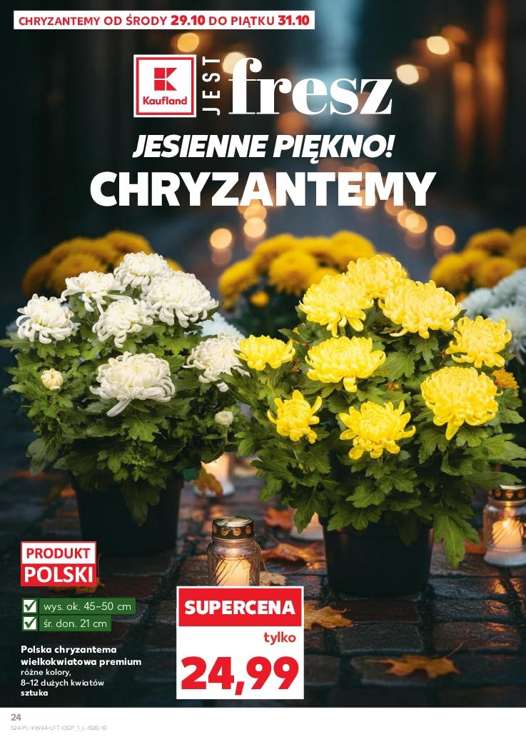 Gazetka promocyjna Kaufland str. 24