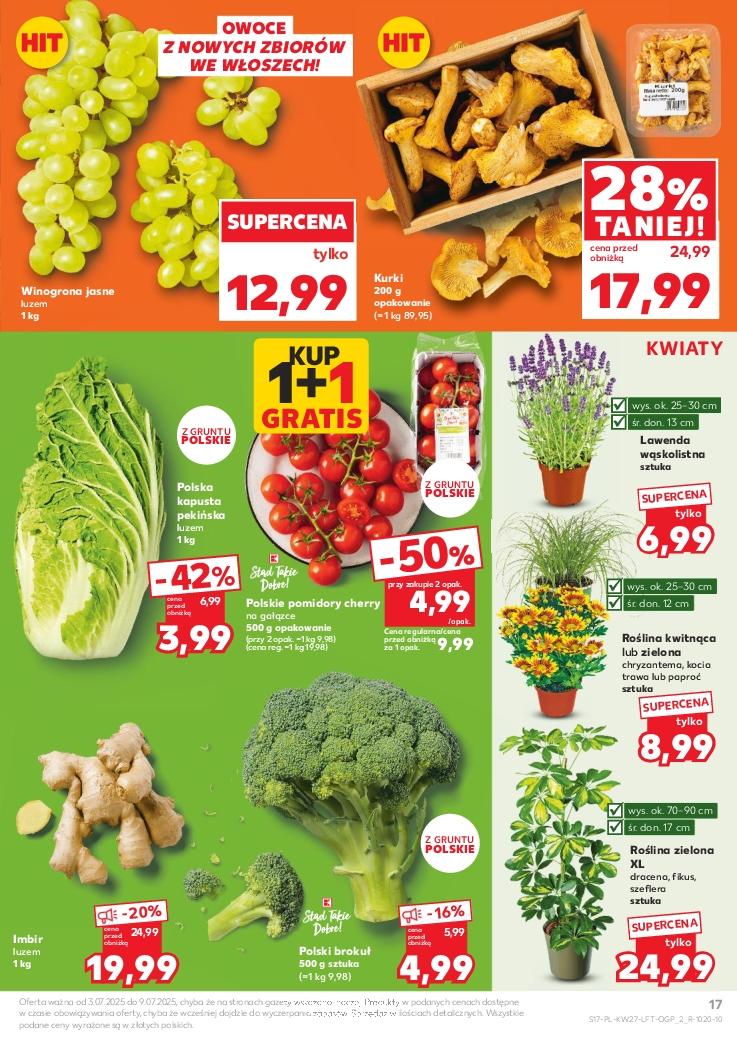 Gazetka promocyjna Kaufland str. 17