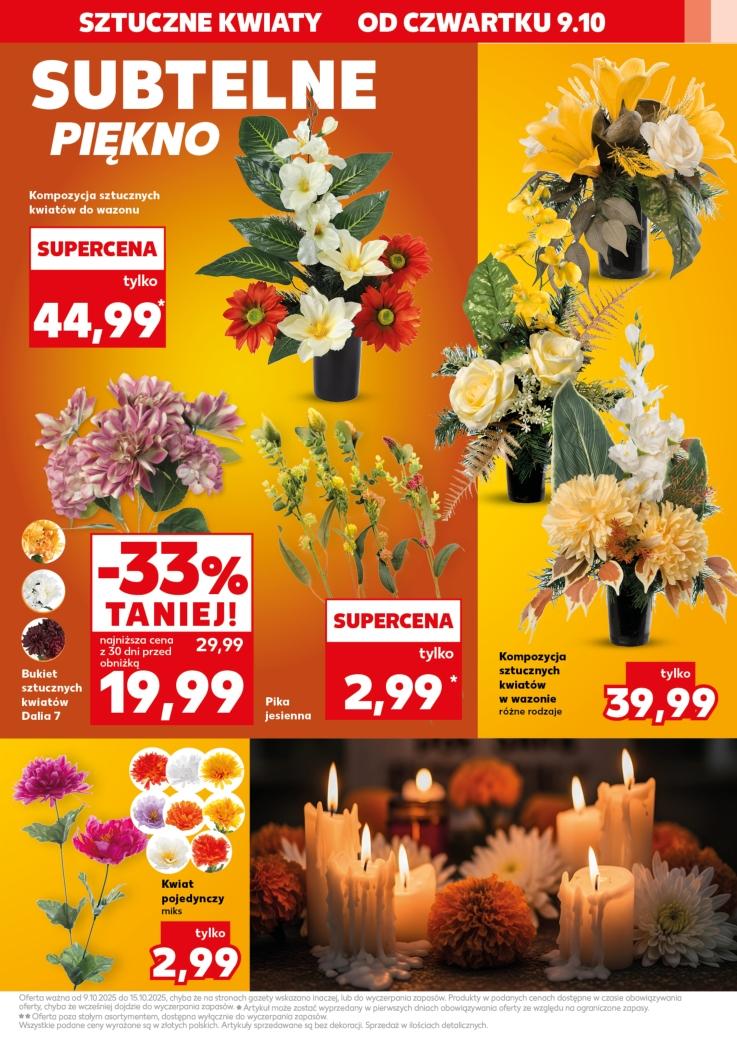 Gazetka promocyjna Kaufland str. 15