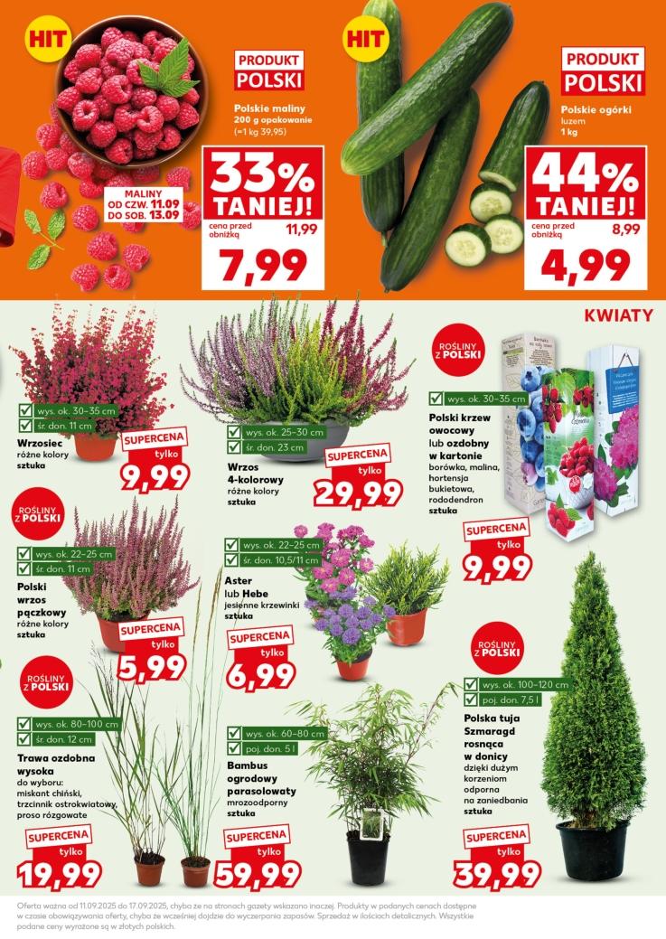 Gazetka promocyjna Kaufland str. 5