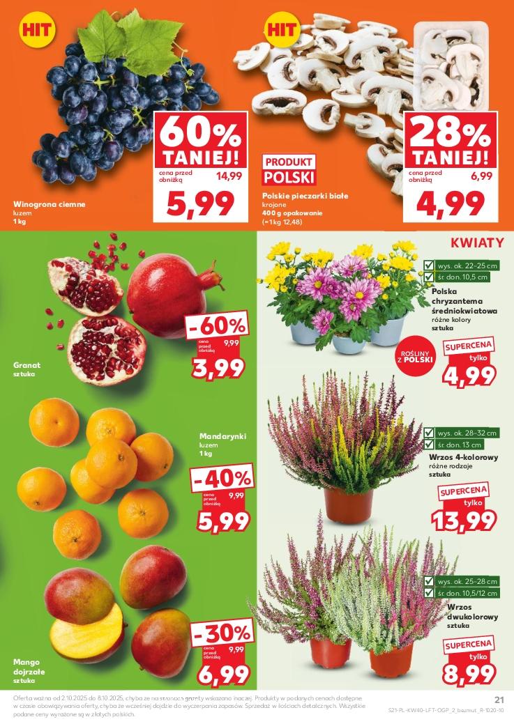 Gazetka promocyjna Kaufland str. 21
