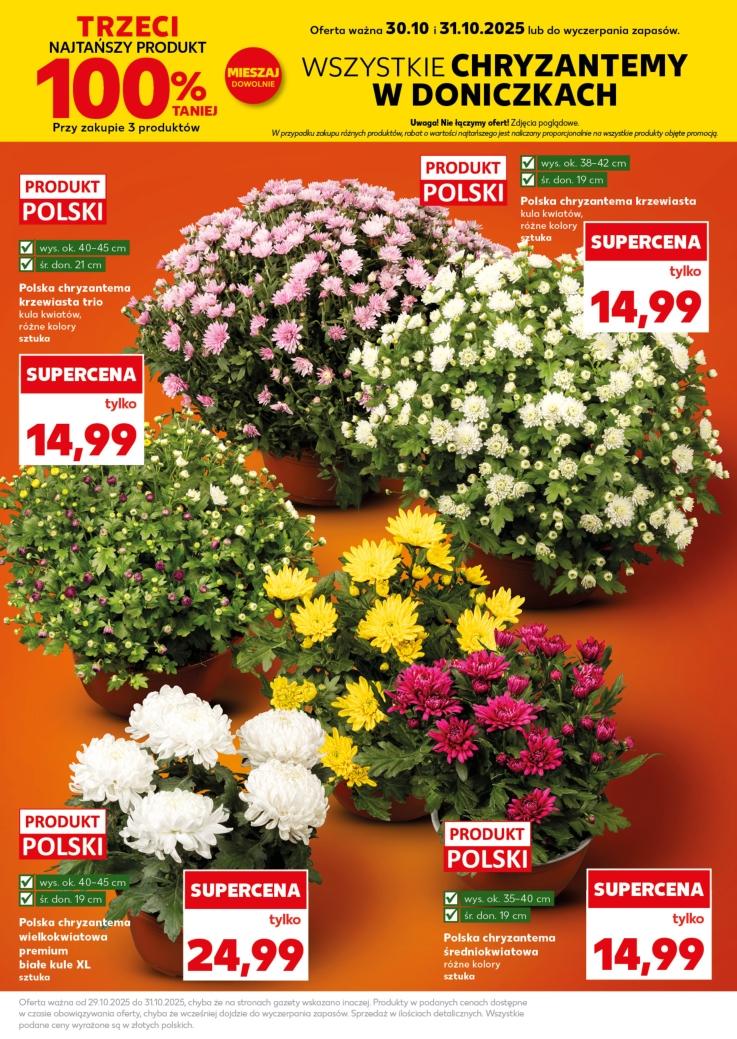 Gazetka promocyjna Kaufland str. 25
