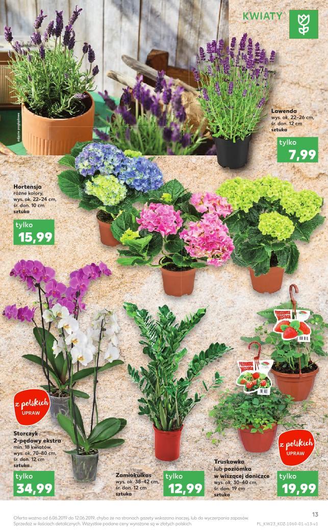 Gazetka promocyjna Kaufland str. 13