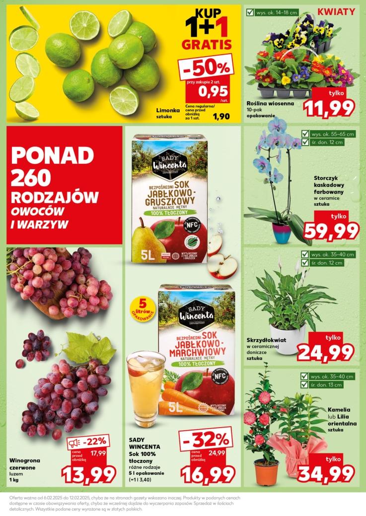 Gazetka promocyjna Kaufland str. 19