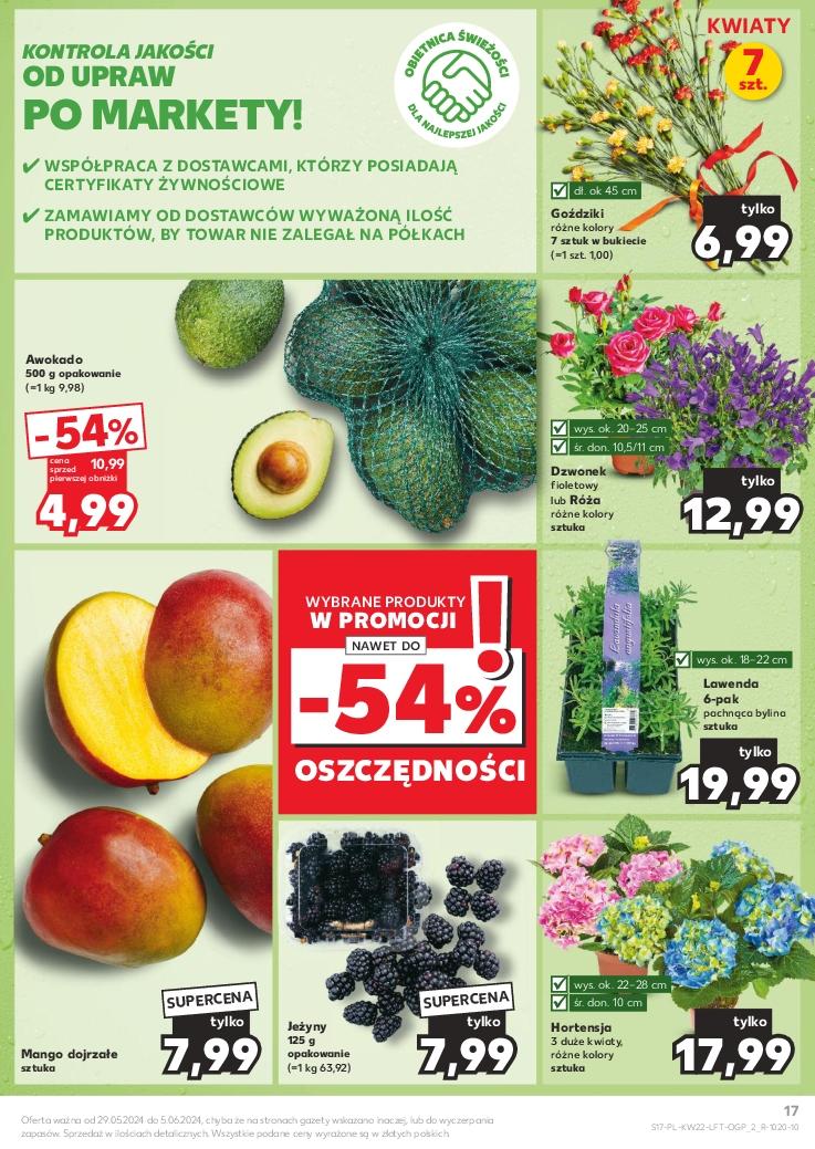 Gazetka promocyjna Kaufland str. 17