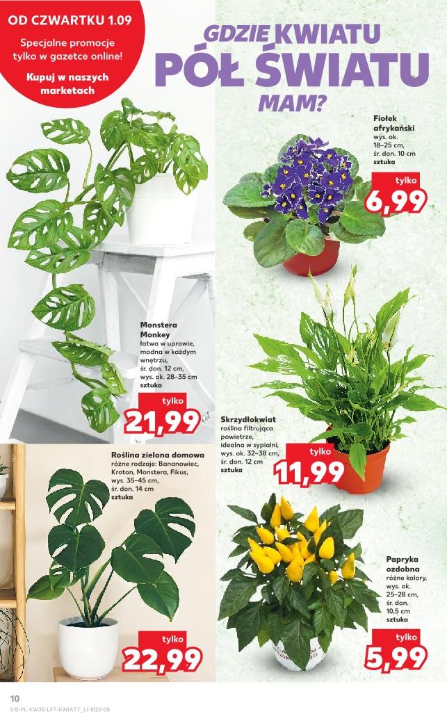 Gazetka promocyjna Kaufland str. 10