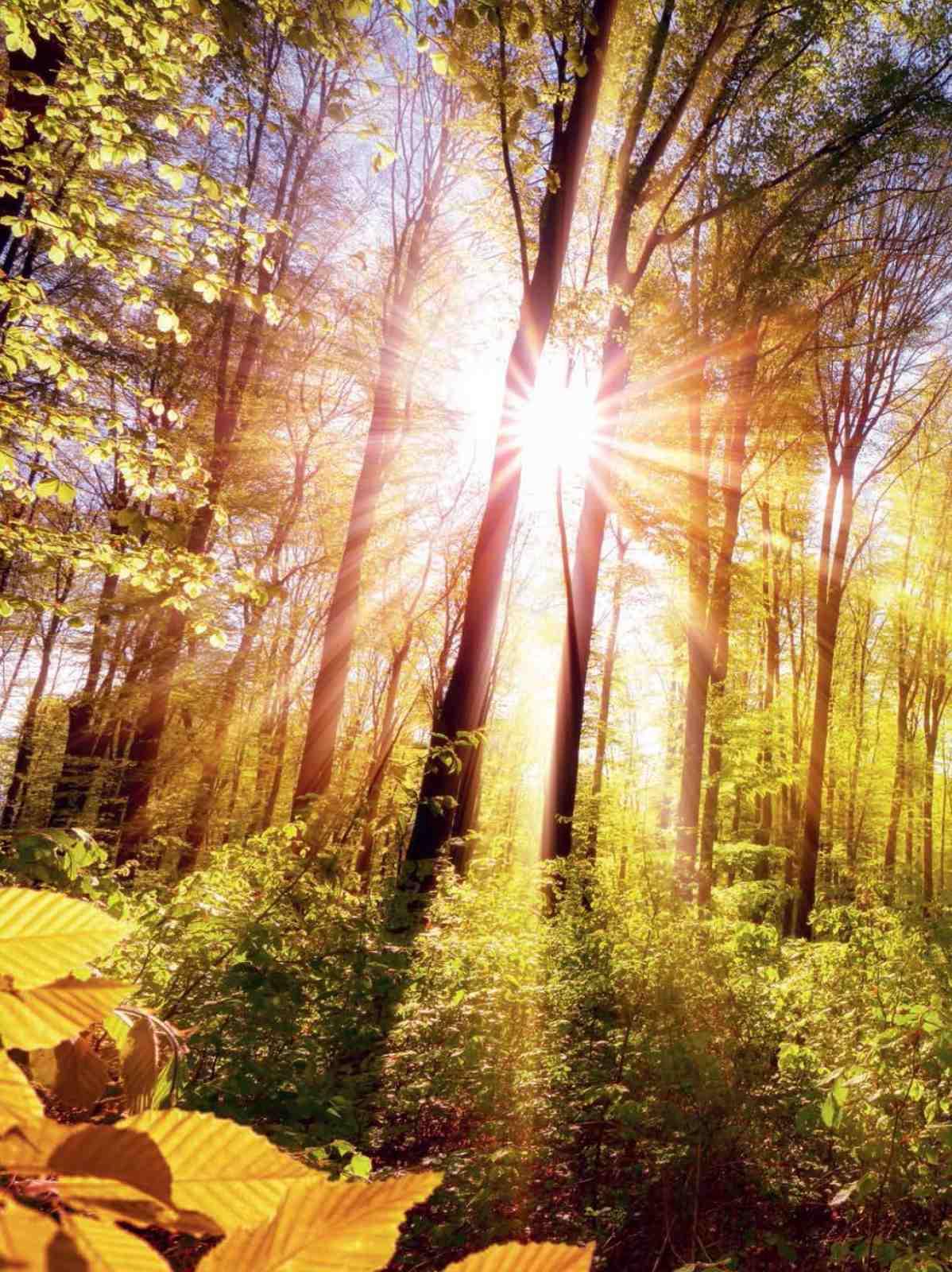 Gazetka promocyjna Kaufland str. 2