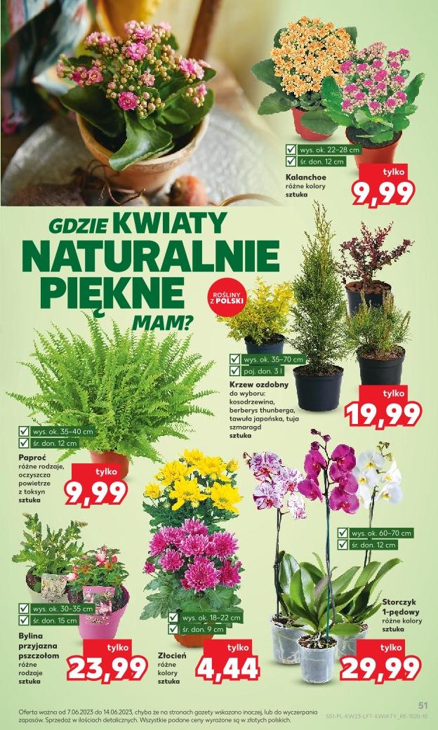 Gazetka promocyjna Kaufland str. 51