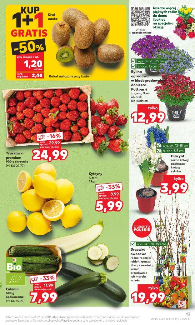Gazetka promocyjna Kaufland str. 13