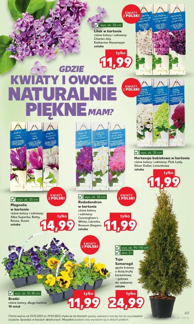Gazetka promocyjna Kaufland str. 49