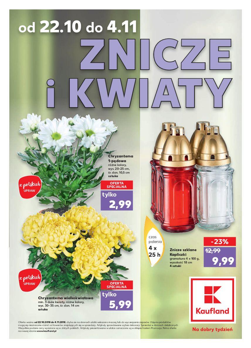 Gazetka promocyjna Kaufland str. 1
