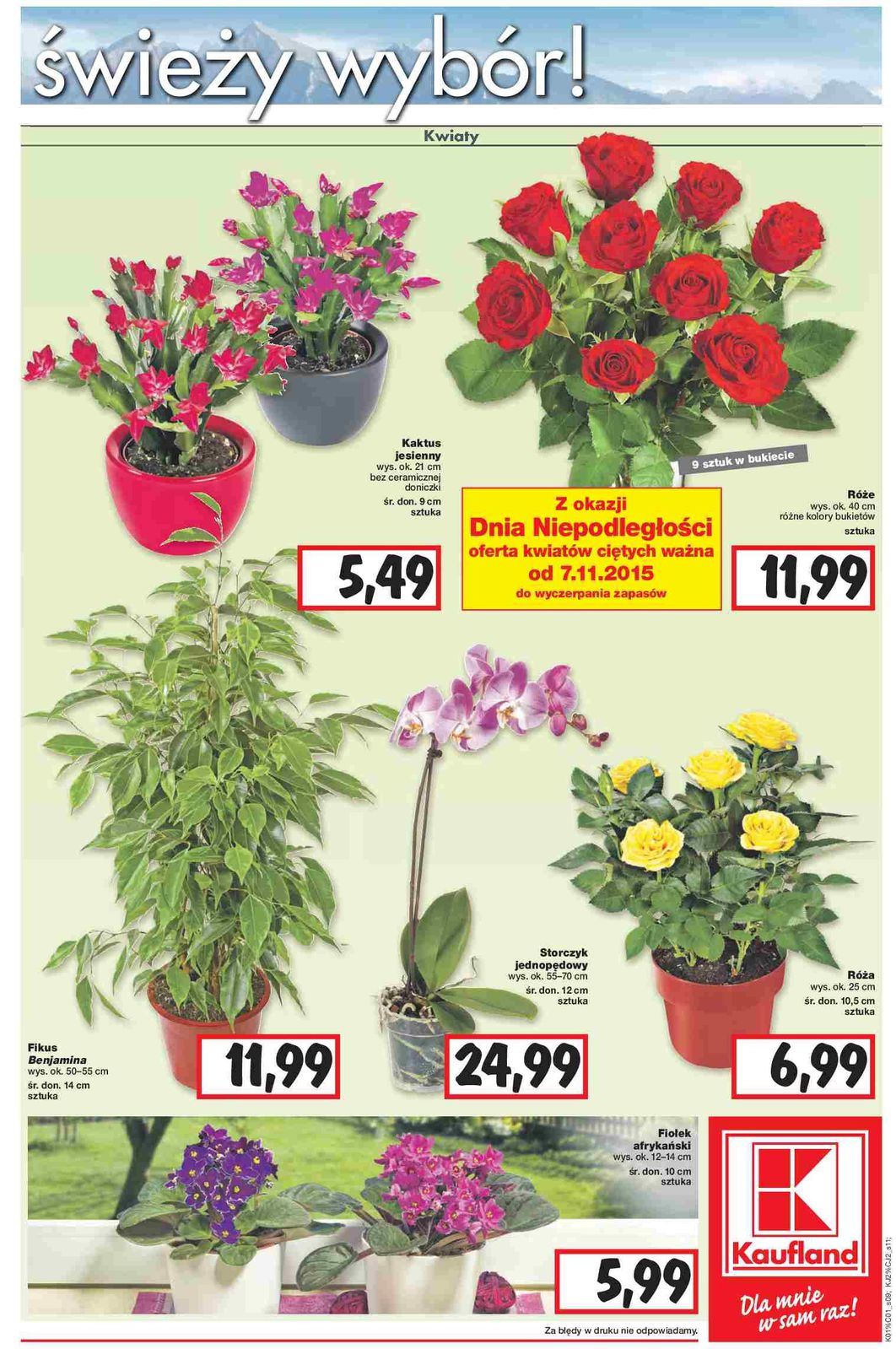 Gazetka promocyjna Kaufland str. 9