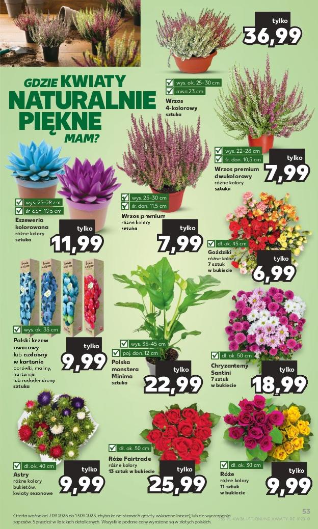 Gazetka promocyjna Kaufland str. 53