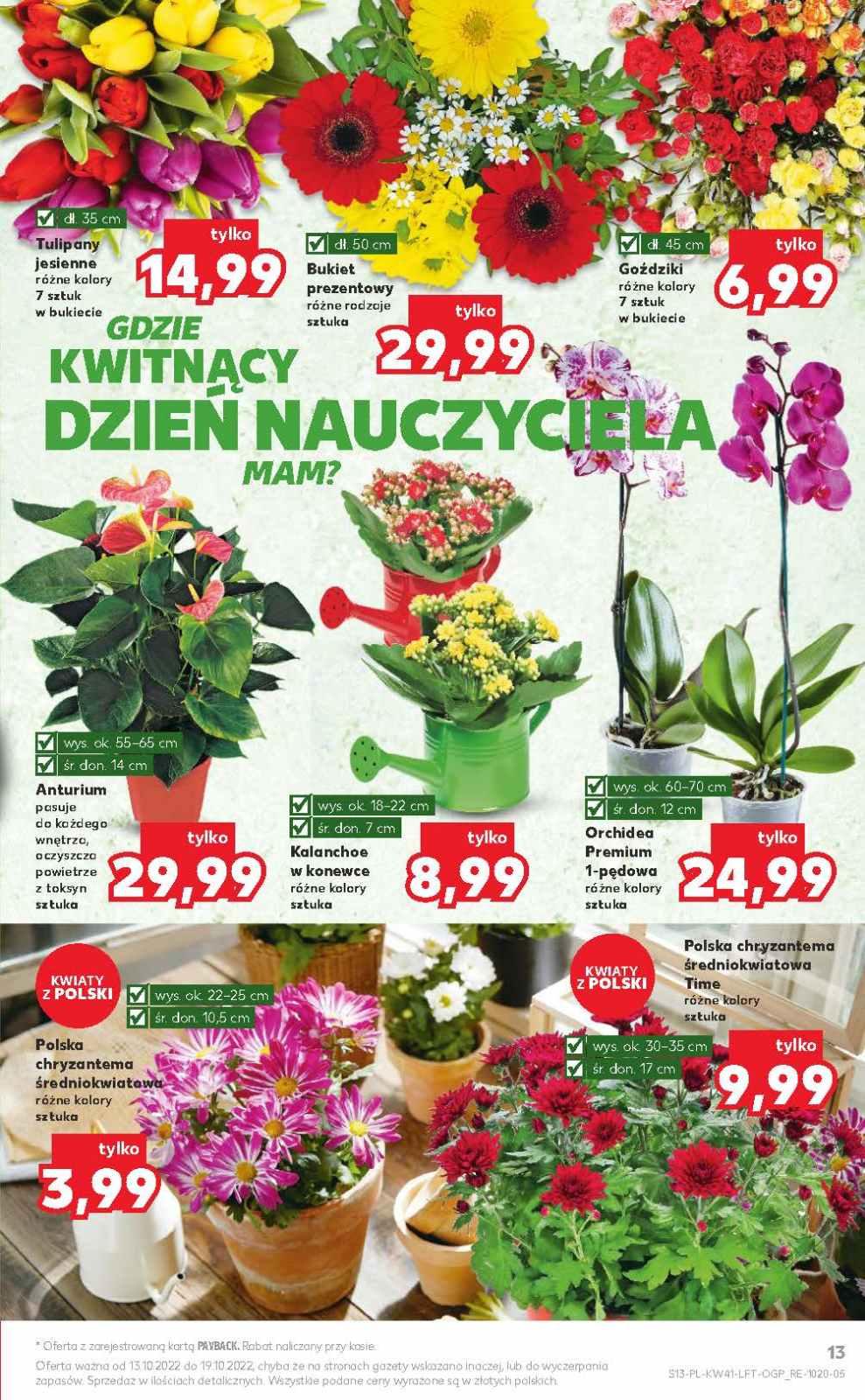 Gazetka promocyjna Kaufland str. 13