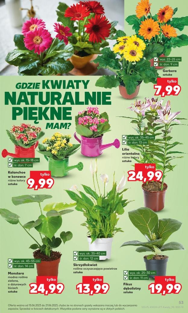 Gazetka promocyjna Kaufland str. 53