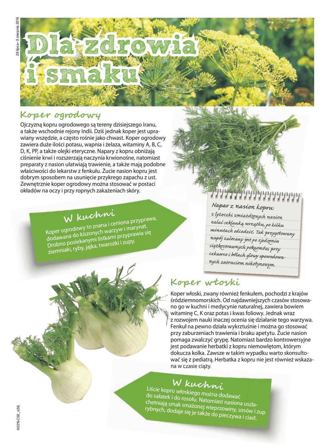 Gazetka promocyjna Kaufland str. 36