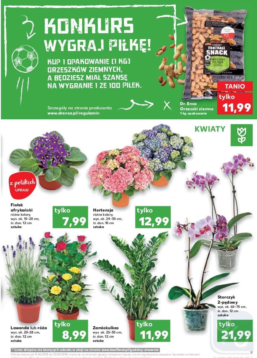 Gazetka promocyjna Kaufland str. 9