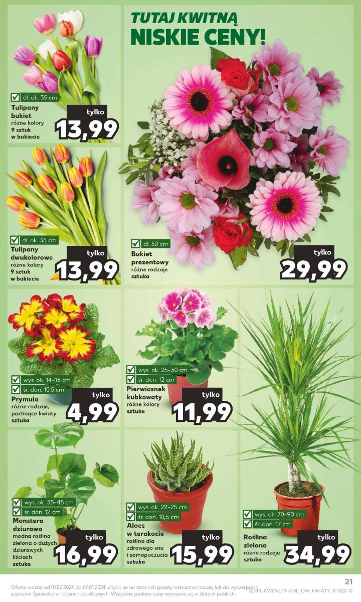 Gazetka promocyjna Kaufland str. 21