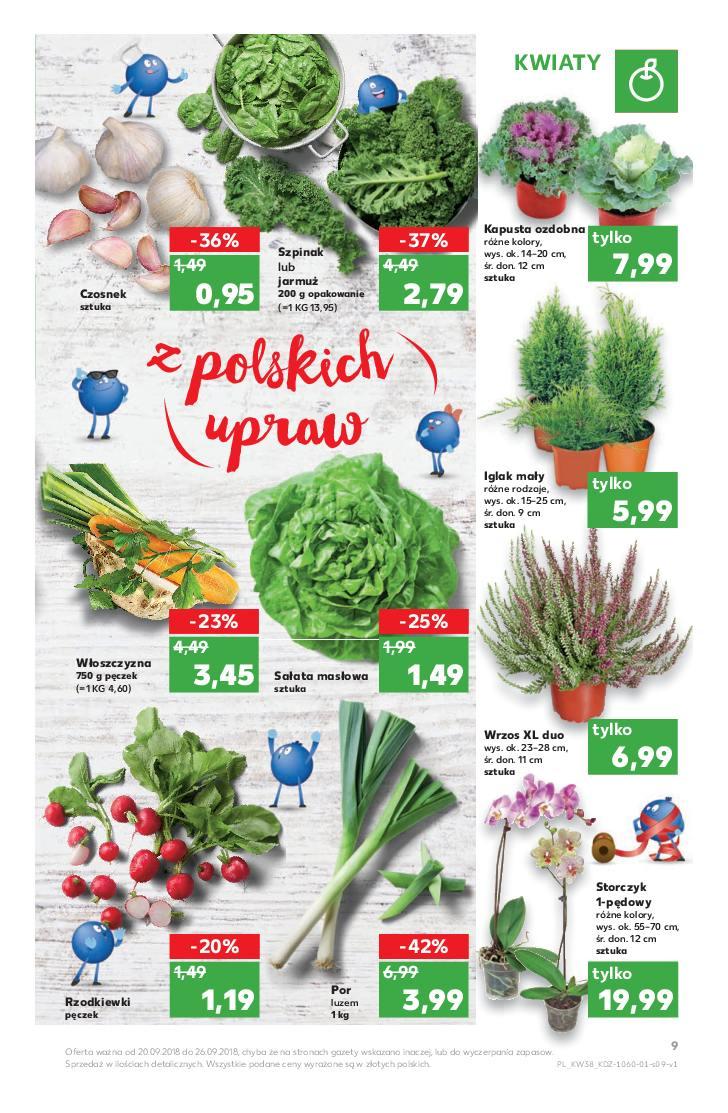 Gazetka promocyjna Kaufland str. 9