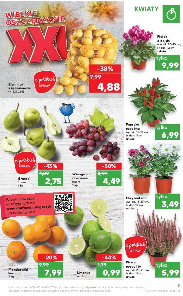 Gazetka promocyjna Kaufland str. 11