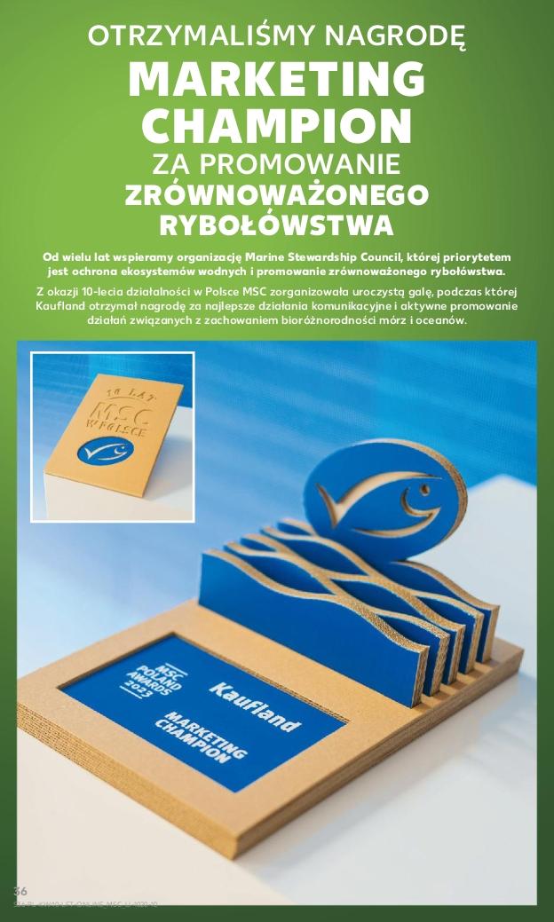 Gazetka promocyjna Kaufland str. 36