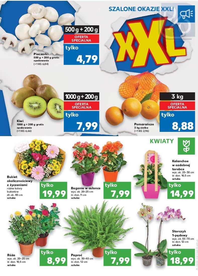 Gazetka promocyjna Kaufland str. 15