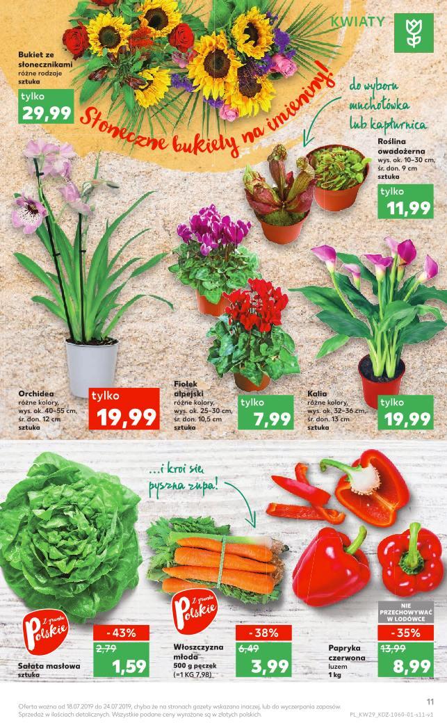 Gazetka promocyjna Kaufland str. 11