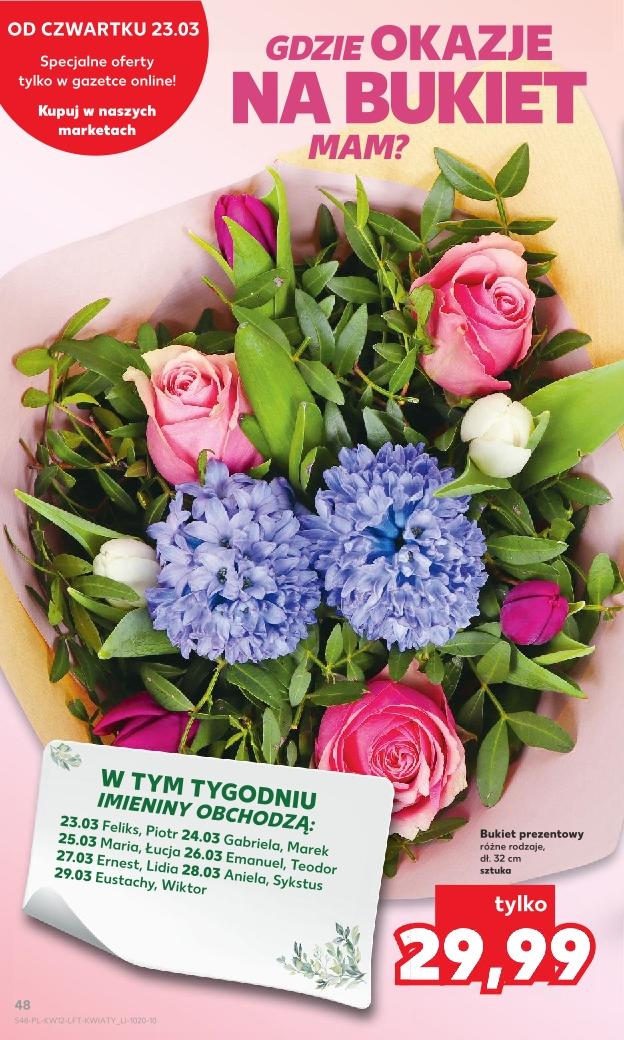 Gazetka promocyjna Kaufland str. 48