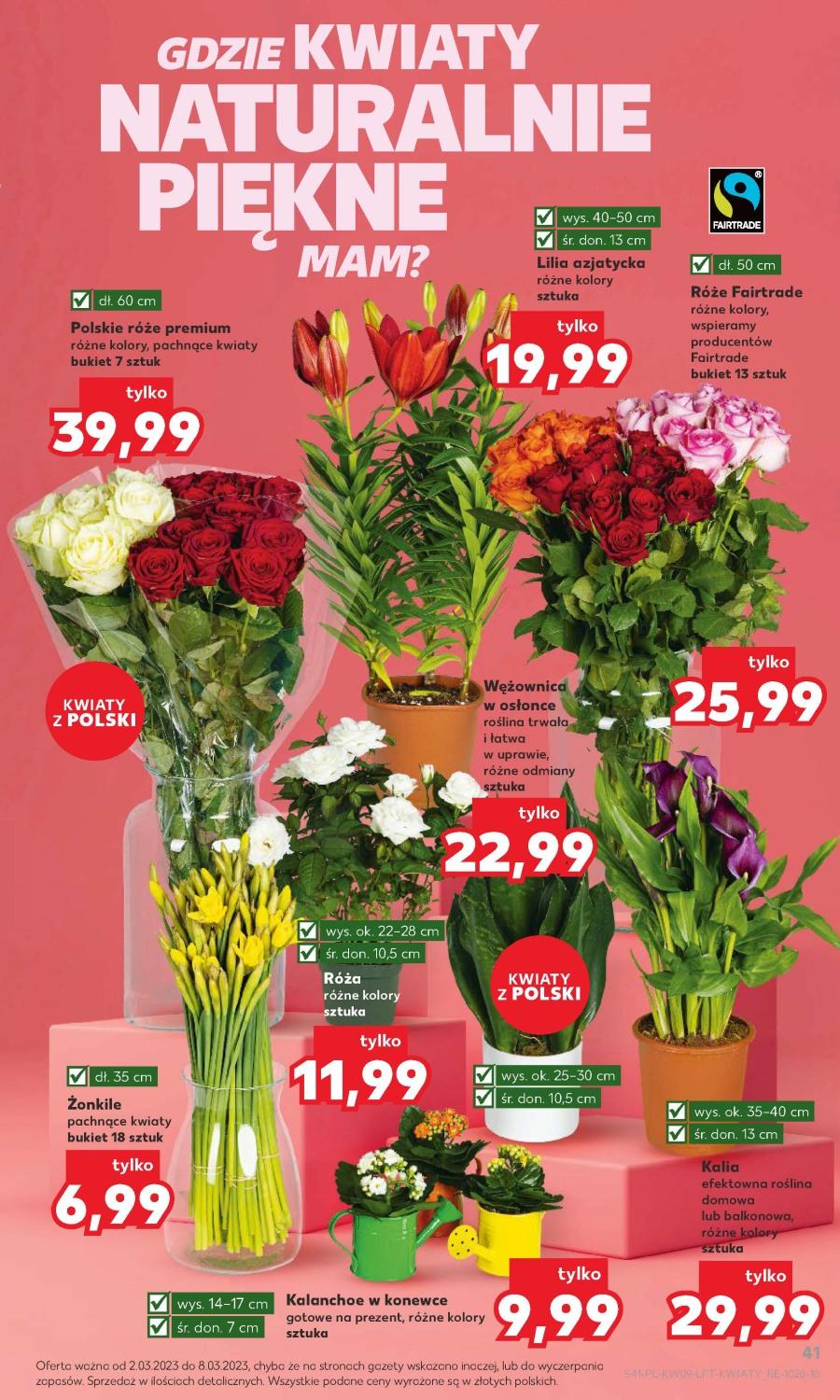 Gazetka promocyjna Kaufland str. 41