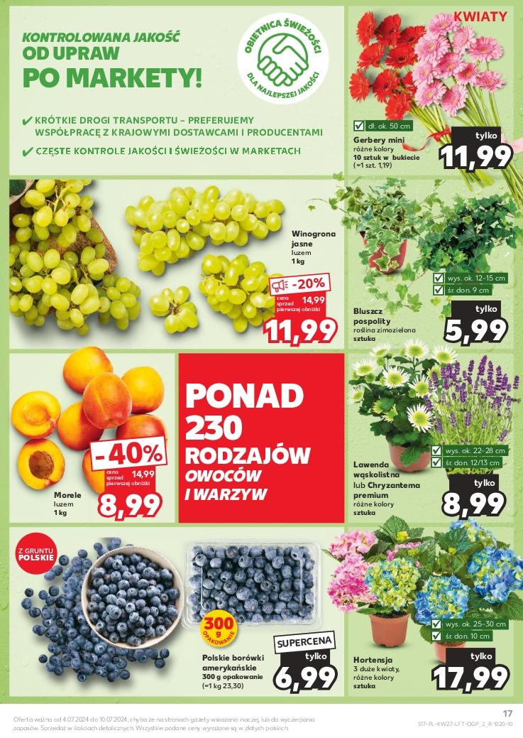 Gazetka promocyjna Kaufland str. 17