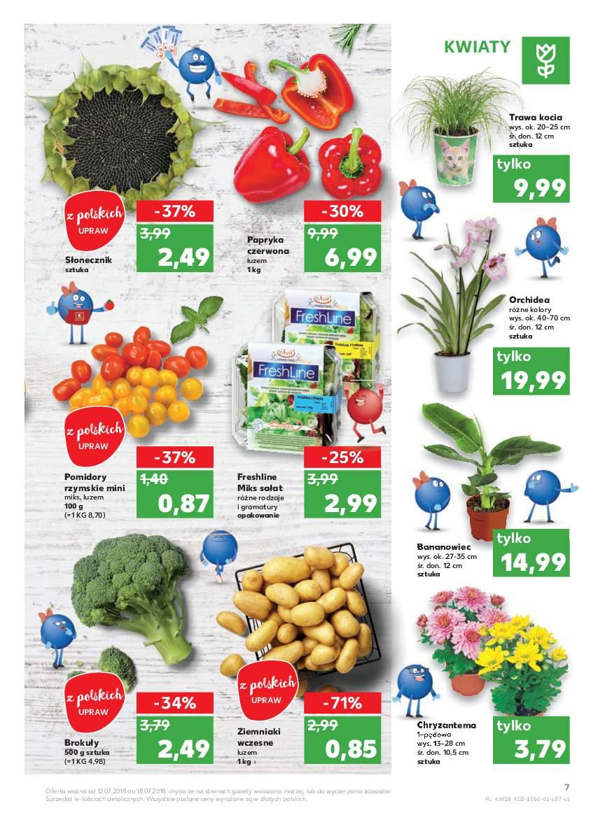 Gazetka promocyjna Kaufland str. 7