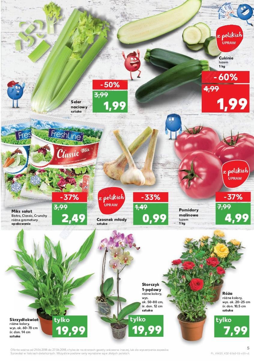 Gazetka promocyjna Kaufland str. 5