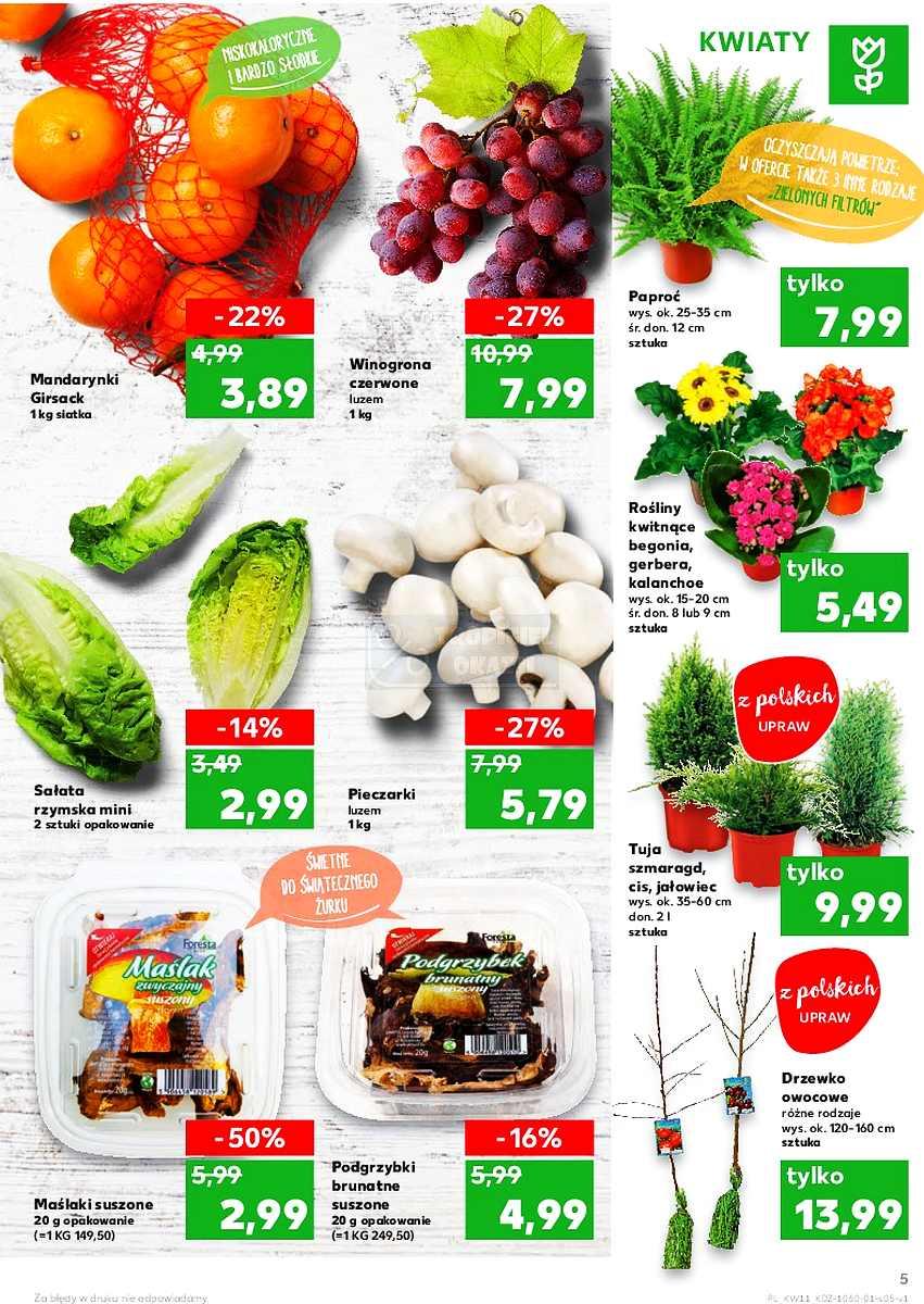 Gazetka promocyjna Kaufland str. 5